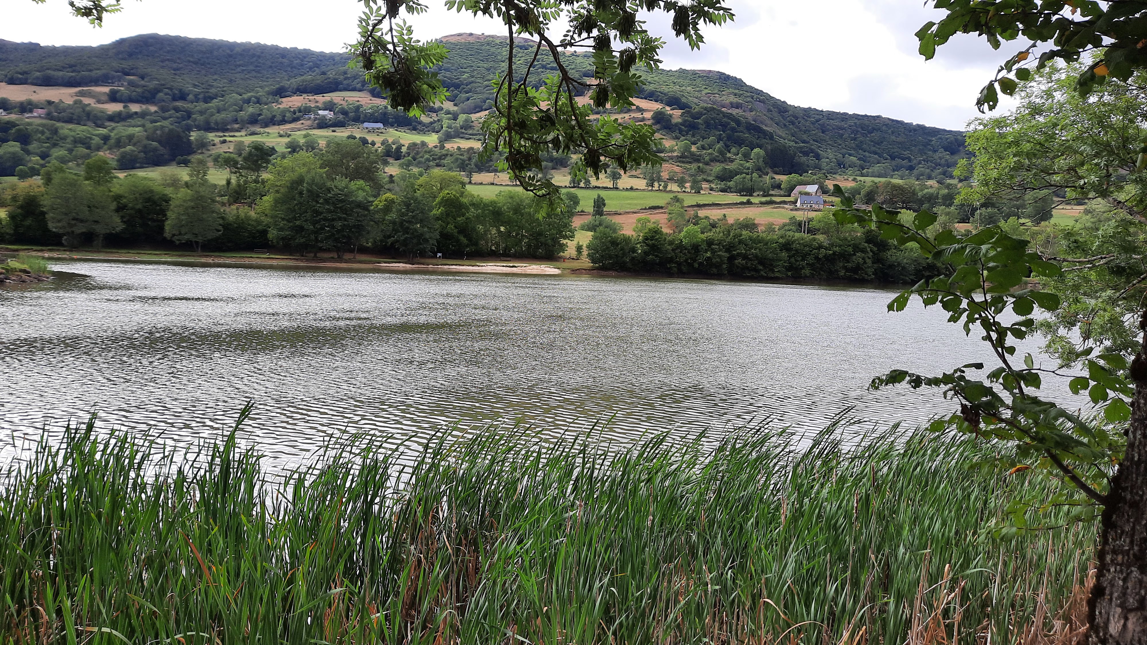 Photo n° 2 de l'avis de Sasab. fait le 22/08/2022 à 18:47