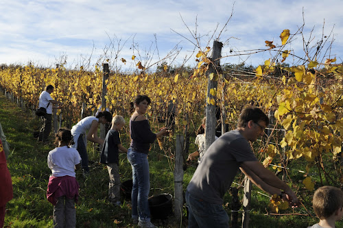 domaine Bordenave (vin Bio) dégustation et visites au chai à Monein au coeur du Jurançon à Monein