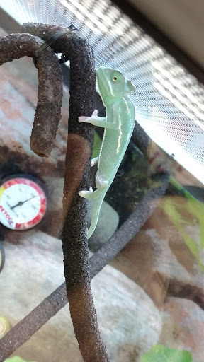 Pet Supply Store «Petco Animal Supplies», reviews and photos, 8800 Tampa Ave, Northridge, CA 91324, USA