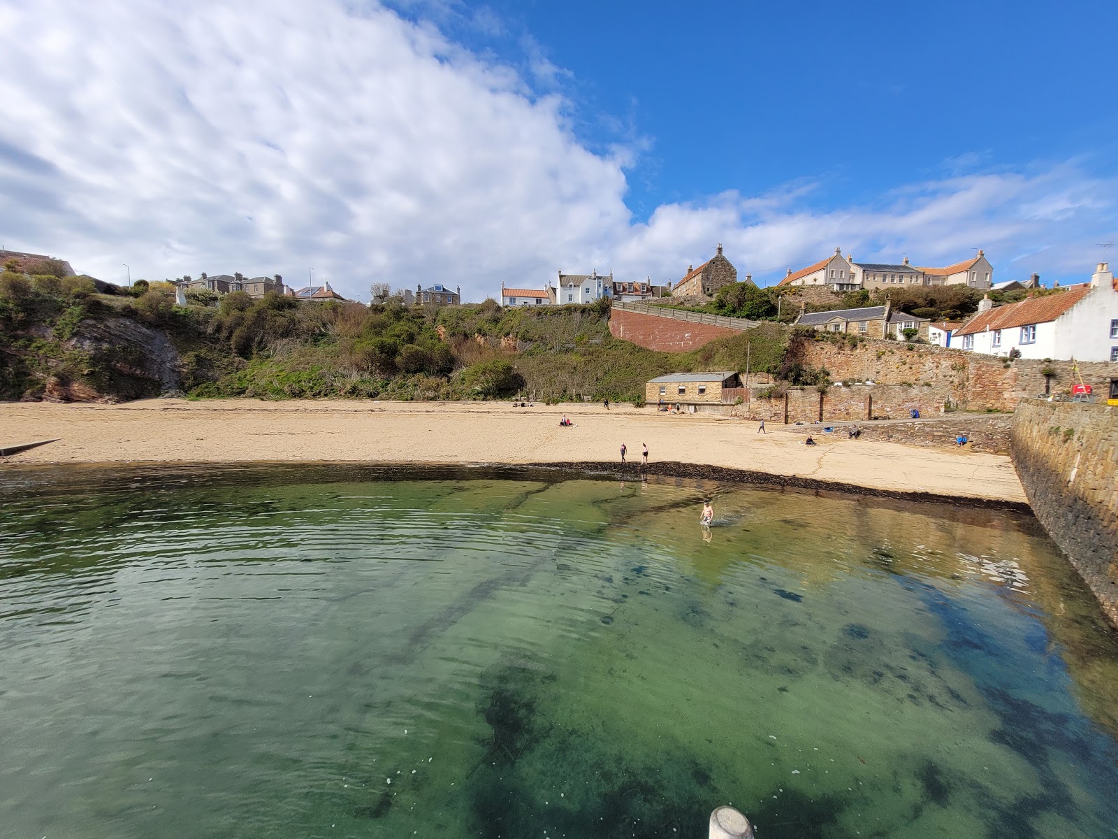 Foto de Crail Beach Fossils Beach área selvagem