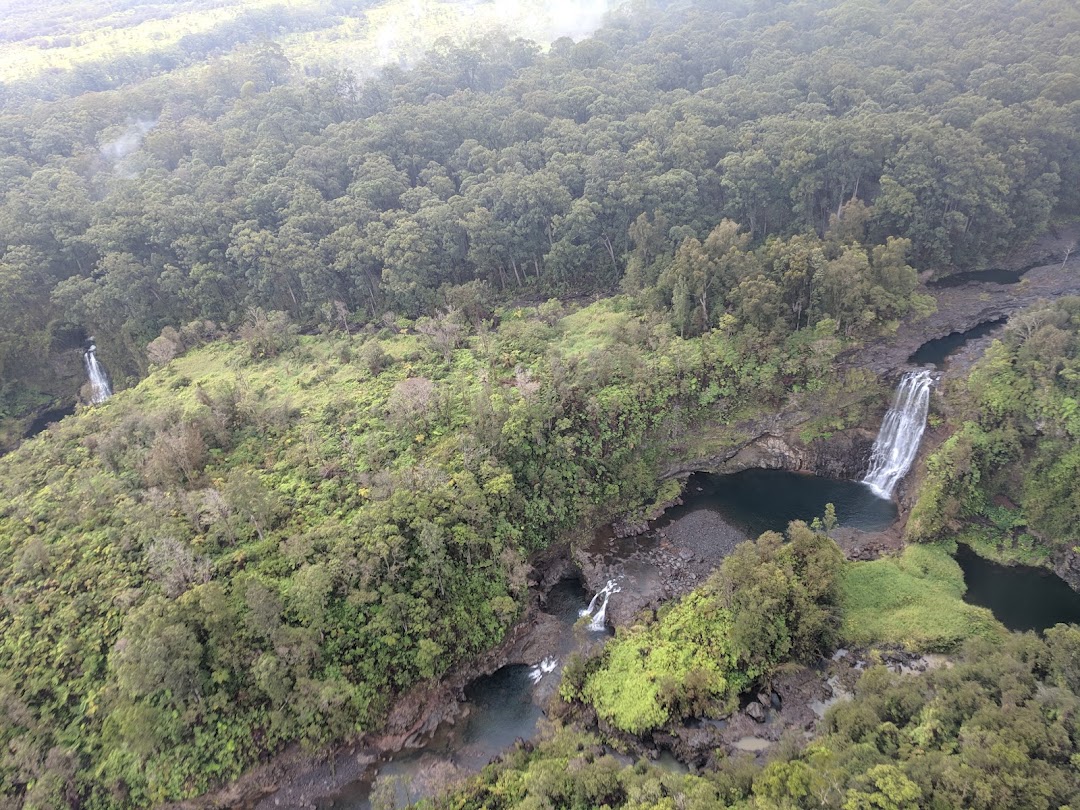 Hilo Watershed Forest Reserve