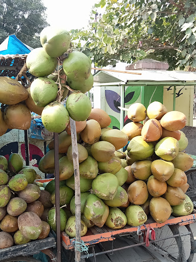 J & N Realty Property Management, Inc.