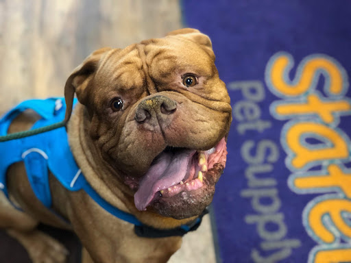 Pet Supply Store «Stately Pet Supply», reviews and photos, 515 S State St, Clarks Summit, PA 18411, USA