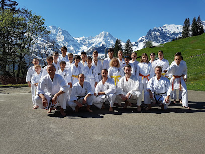 Shotokan Karateschule am Rigi