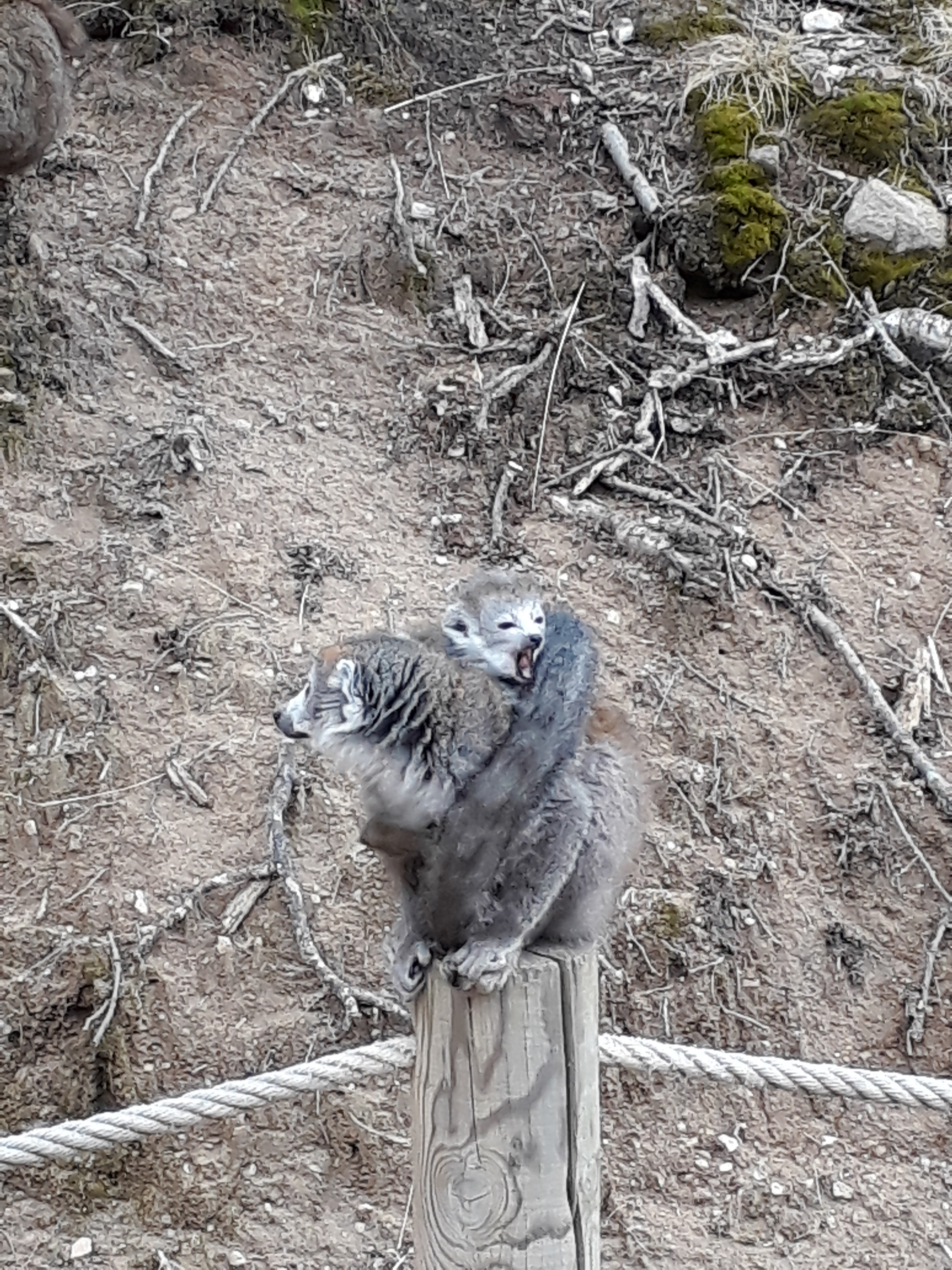 Photo n° 30 de l'avis de Stef.e fait le 15/08/2018 à 14:06