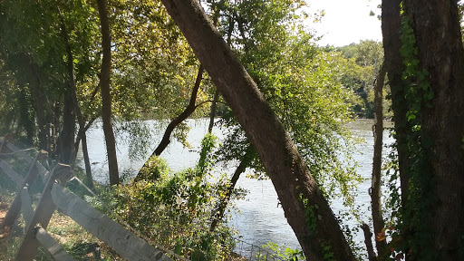 Restaurant «Salvage Station», reviews and photos, 468 Riverside Dr, Asheville, NC 28801, USA