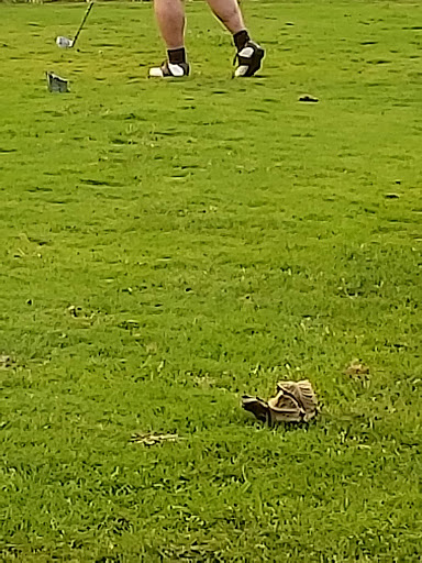 Golf Course «Foxfire Golf Club», reviews and photos, 10799 State Road 104, Lockbourne, OH 43137, USA