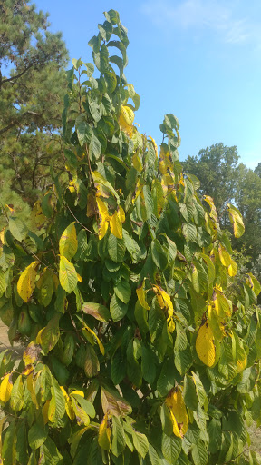 Wedding Venue «Rancho Alegre Farm», reviews and photos, 2225 Givens Rd, Dacula, GA 30019, USA