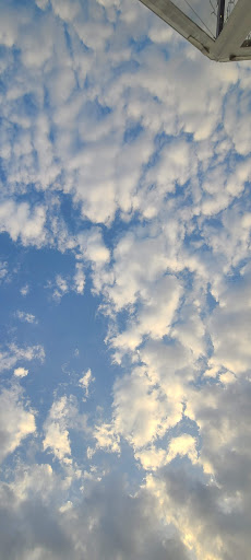 Shopping Mall «Colonial Village Shopping Center», reviews and photos, 1723 Wilson Blvd, Arlington, VA 22209, USA