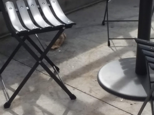 Mexican Restaurant «Chipotle Mexican Grill», reviews and photos, 1650 Scenic Hwy S, Snellville, GA 30078, USA