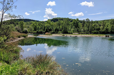 Marais de l'Etournel à Pougny
