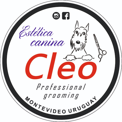 Academia CLEO. Estética Canina.