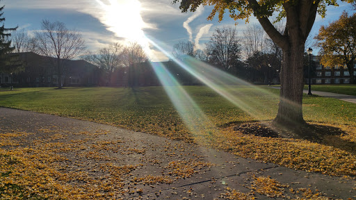 University «Radford University», reviews and photos