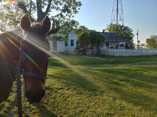 Tourist Attraction «Amish Heritage Farm», reviews and photos, 1016 Brewer Rd, Ethridge, TN 38456, USA
