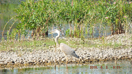 Hiking Area «Cowles Bog Trail», reviews and photos, 1618 N Mineral Springs Rd, Dune Acres, IN 46304, USA
