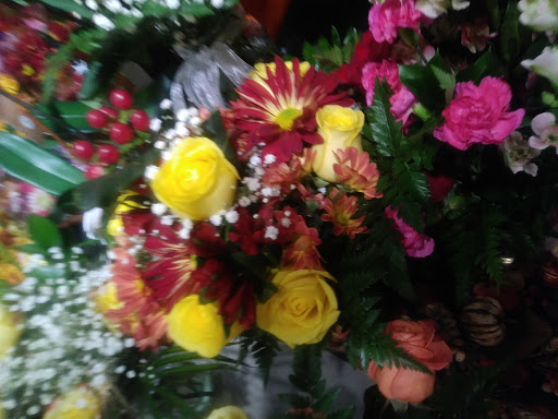 Grocery Store «Super Stop & Shop», reviews and photos, 3208 Bridge Ave, Point Pleasant, NJ 08742, USA