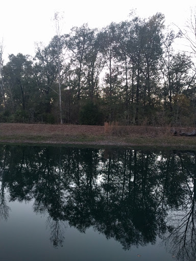 Park «Clarence Foster Park», reviews and photos, 4400 Woodland Park Blvd, Arlington, TX 76013, USA