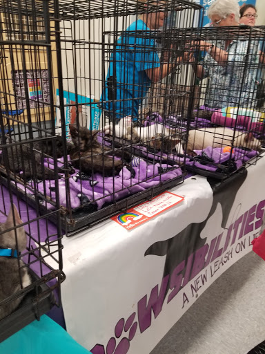 Pet Supply Store «Petco Animal Supplies», reviews and photos, 921 Harley Strickland Blvd, Orange City, FL 32763, USA