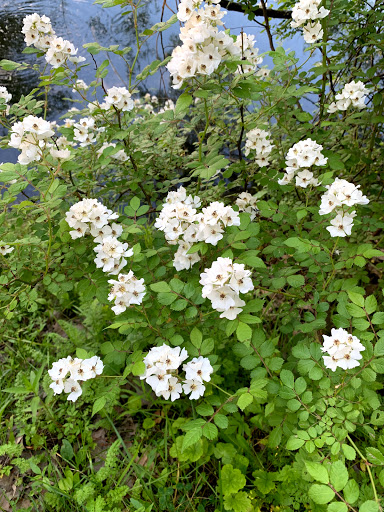 City Park «Krannert Park», reviews and photos, 605 South High School Road, Indianapolis, IN 46241, USA