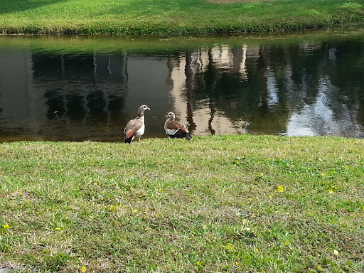 Golf Course «Wynmoor Golf Course», reviews and photos, 1310 Avenue of the Stars, Coconut Creek, FL 33066, USA