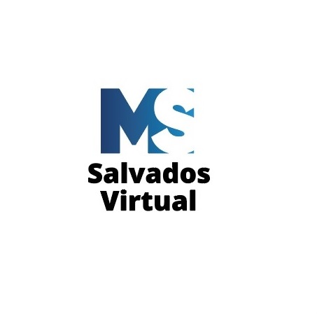Logo da empresa - MS, SALVADOS VIRTUAL - SUA CASA EQUIPADA