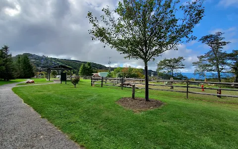 Beech Mountain Dog Park image