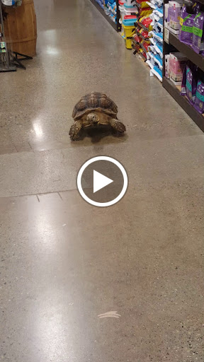 Pet Supply Store «Premier Pet Supply», reviews and photos, 31215 Southfield Rd, Beverly Hills, MI 48025, USA