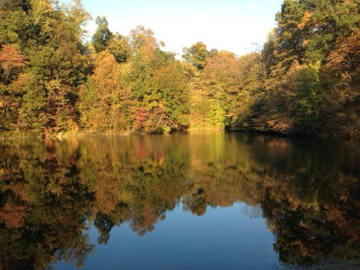 Campground «Fallen Rock Park Restaurant», reviews and photos, 8816 Fallen Rock Rd, Brazil, IN 47834, USA