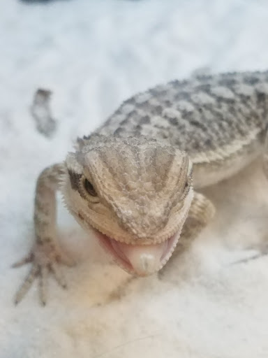 Pet Supply Store «Petco Animal Supplies», reviews and photos, 3066 US-34, Oswego, IL 60543, USA