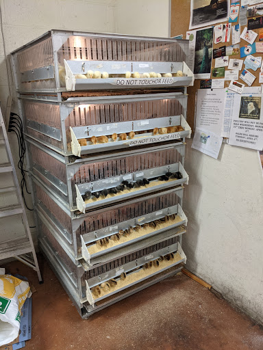 Pet Supply Store «O K Feed & Supply», reviews and photos, 3701 E Fort Lowell Rd, Tucson, AZ 85716, USA