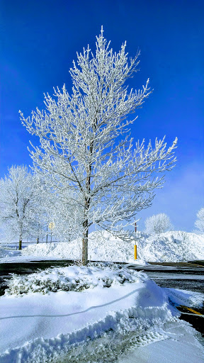 Department Store «Walmart Supercenter», reviews and photos, 1752 N Frontage Rd, Hastings, MN 55033, USA
