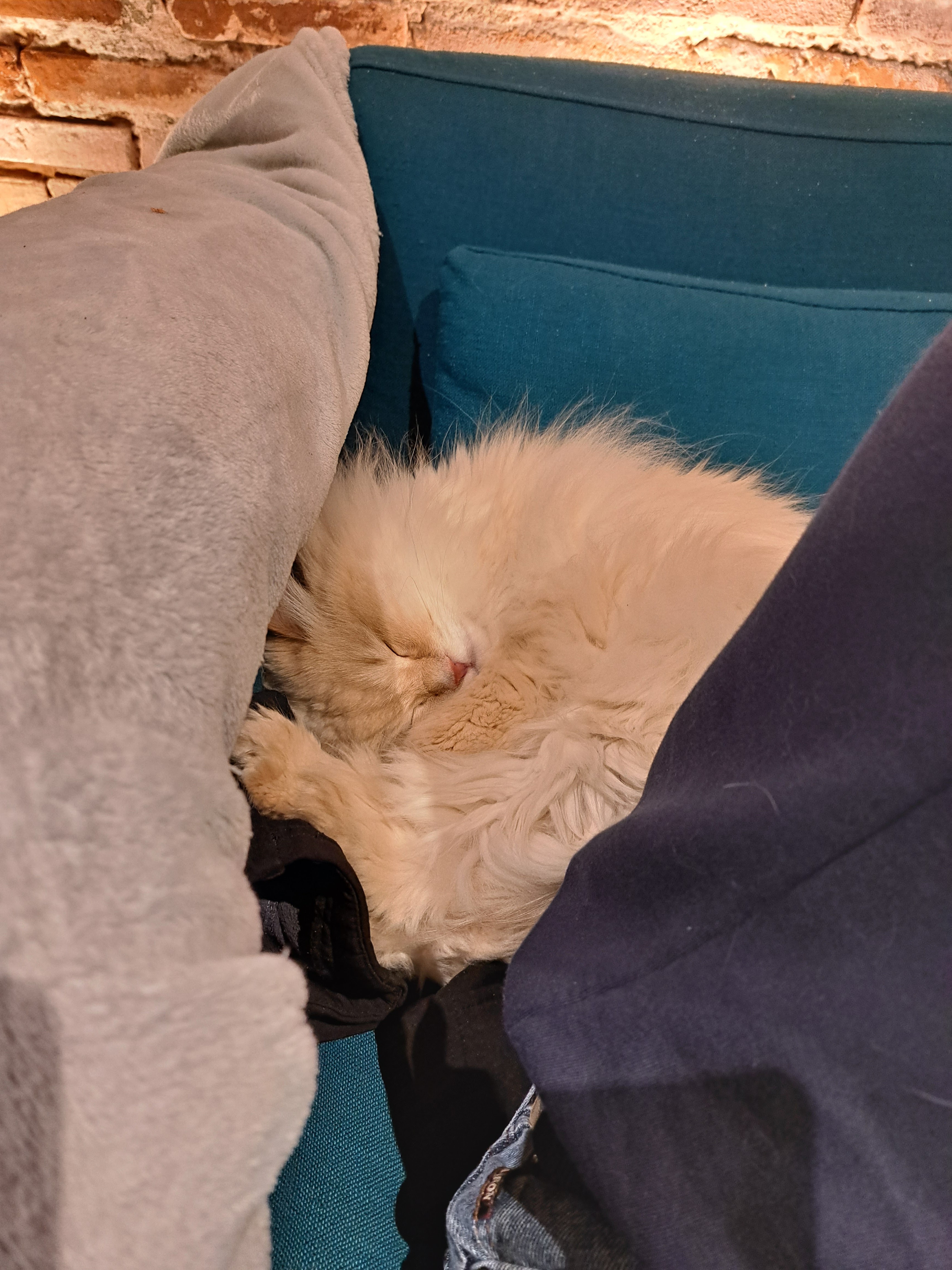 Photo n° 3 de l'avis de Baptiste.I fait le 19/04/2023 à 14:07