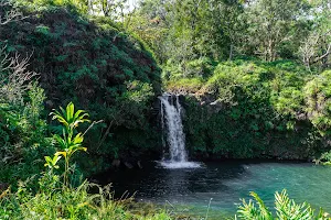 Kings Gardens Maui Private Waterfall Hike Maui & Chocolate Tour Rainforest Adventure, Grab 25% Off, Enter Code gift25 image