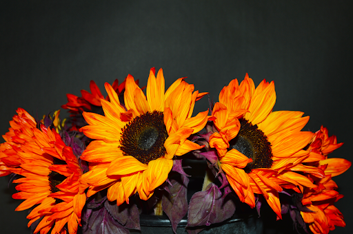 Florist «Jasmine Flowers & Gifts», reviews and photos, 1722 E Bijou St, Colorado Springs, CO 80909, USA