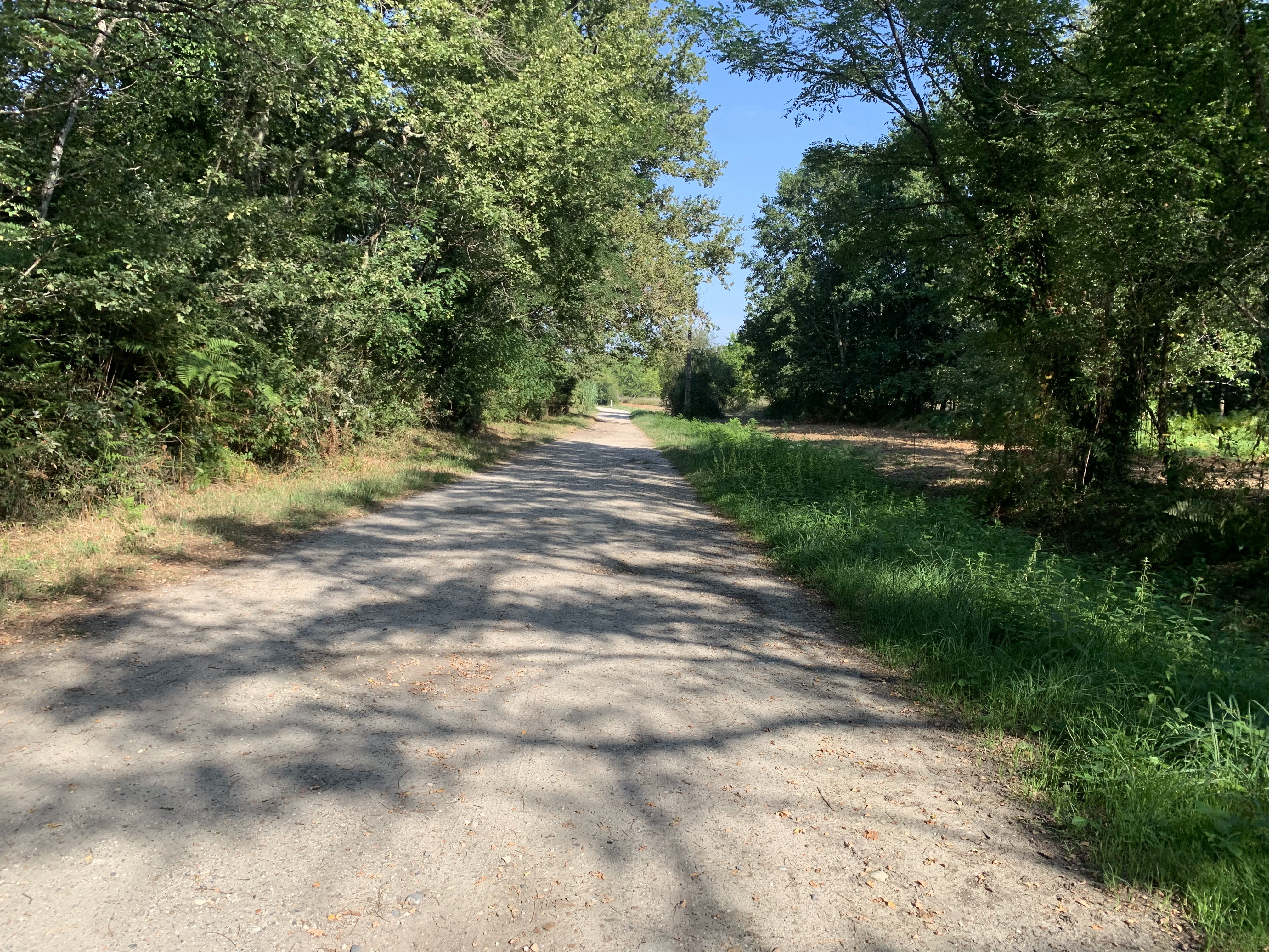 Photo n° 23 de l'avis de Esteban.R fait le 17/08/2023 à 16:46