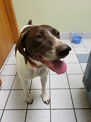 Morganside Veterinary Clinic image