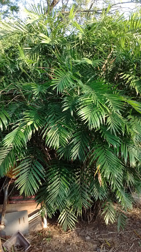 Beer Store «Holiday Wine & Liquor», reviews and photos, 809 S Commerce St, Harlingen, TX 78550, USA