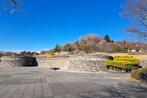 Murasakiyama Central Park image