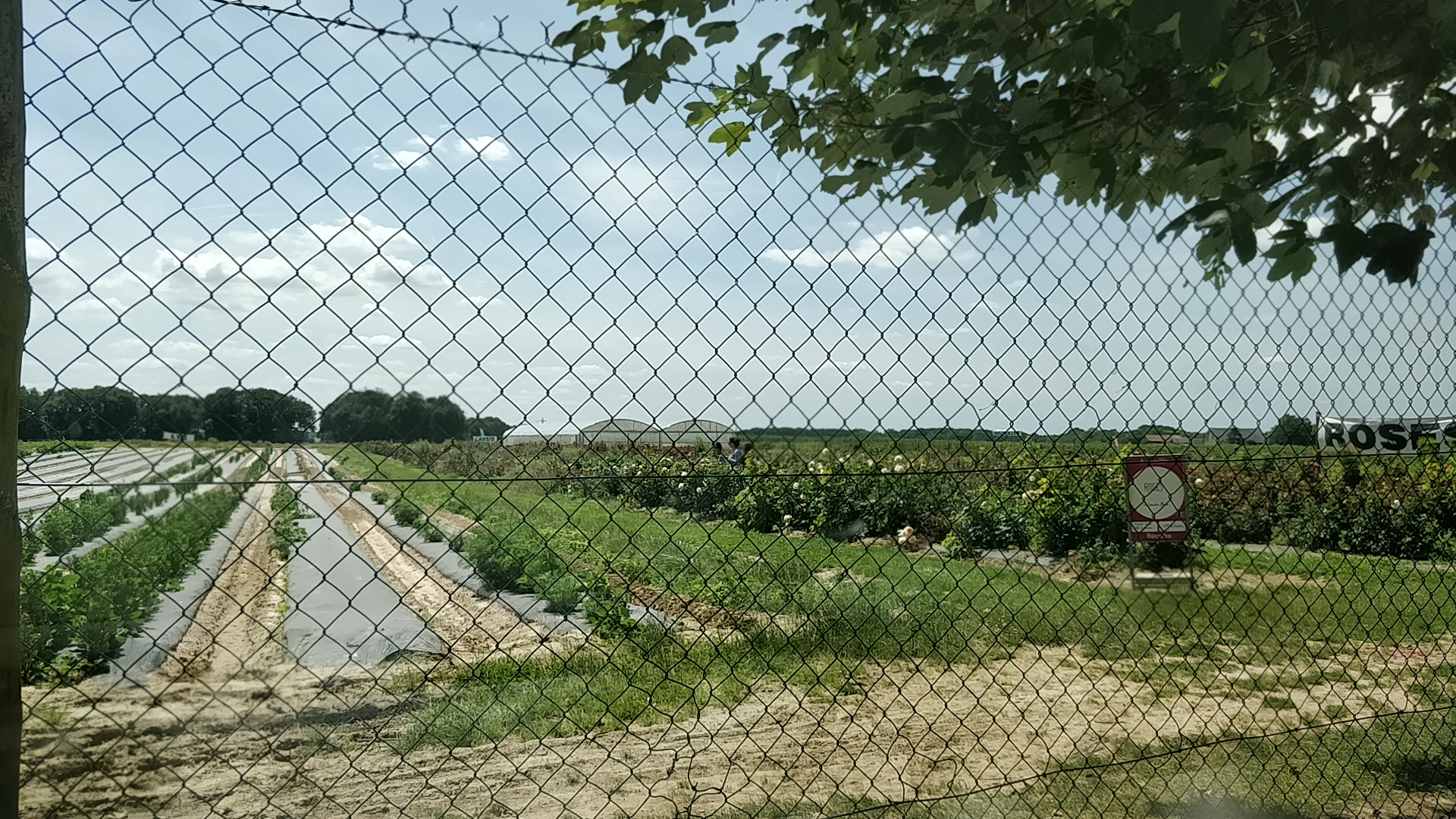 Photo n° 1 de l'avis de SOPHIE.L fait le 21/06/2018 à 12:31