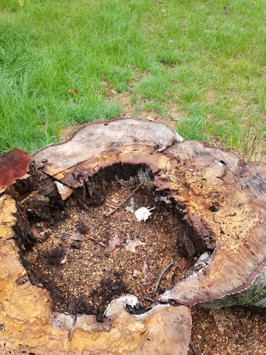 Park «Dorchester Park», reviews and photos, 2180 Dorchester Ave, Dorchester, MA 02124, USA