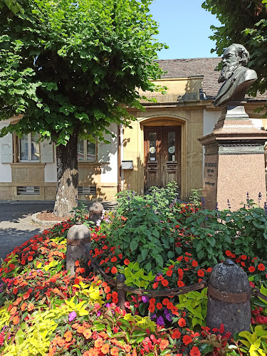 Rezensionen über Neuchâtel Islamic Center مسجد in Neuenburg - Sprachschule