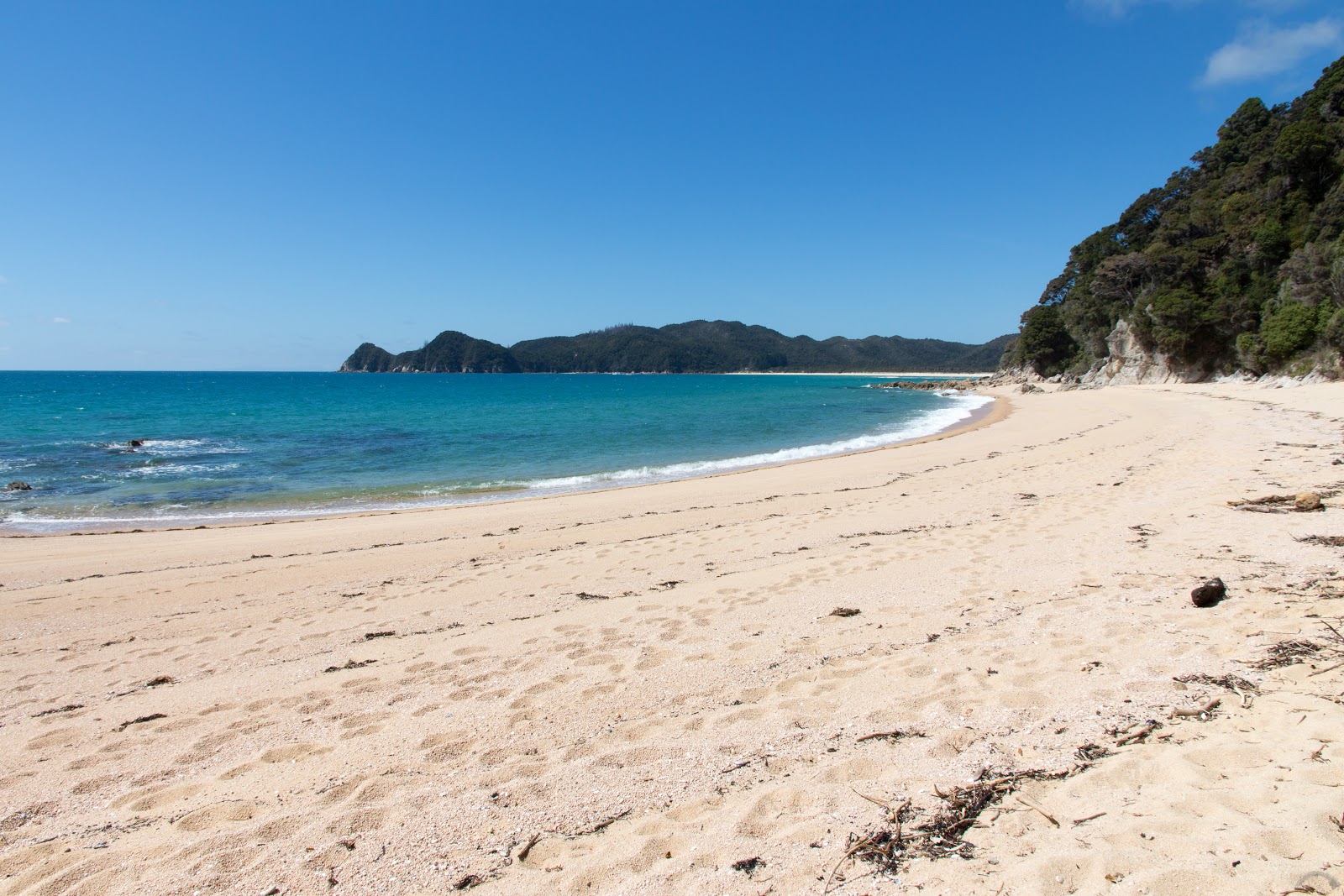 Foto de Waiharakeke Bay Beach con brillante arena fina superficie