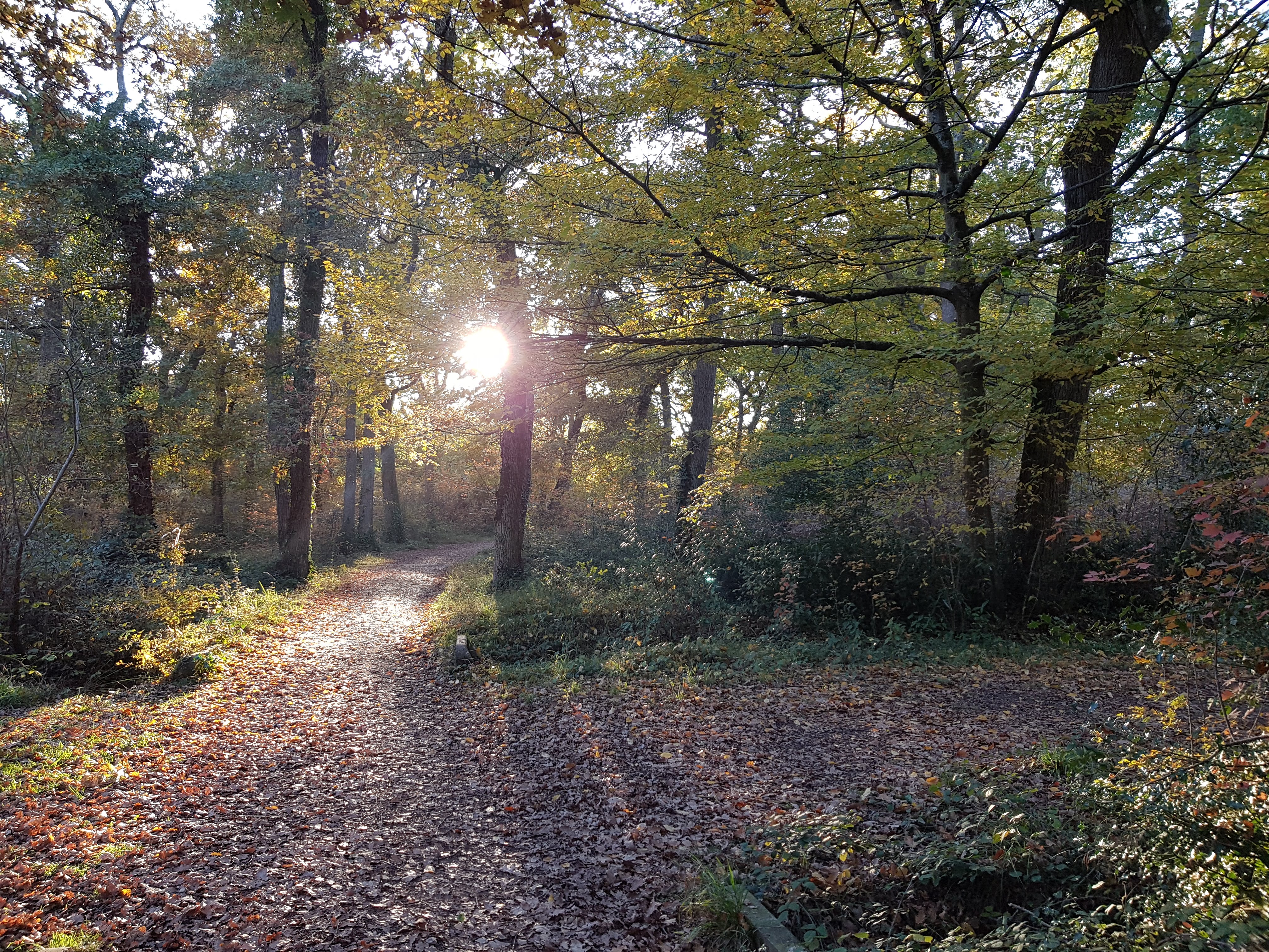 Photo n° 2 de l'avis de Valentin. fait le 20/11/2017 à 16:10