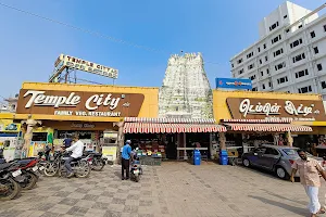 Temple City - Family Veg Restaurant image