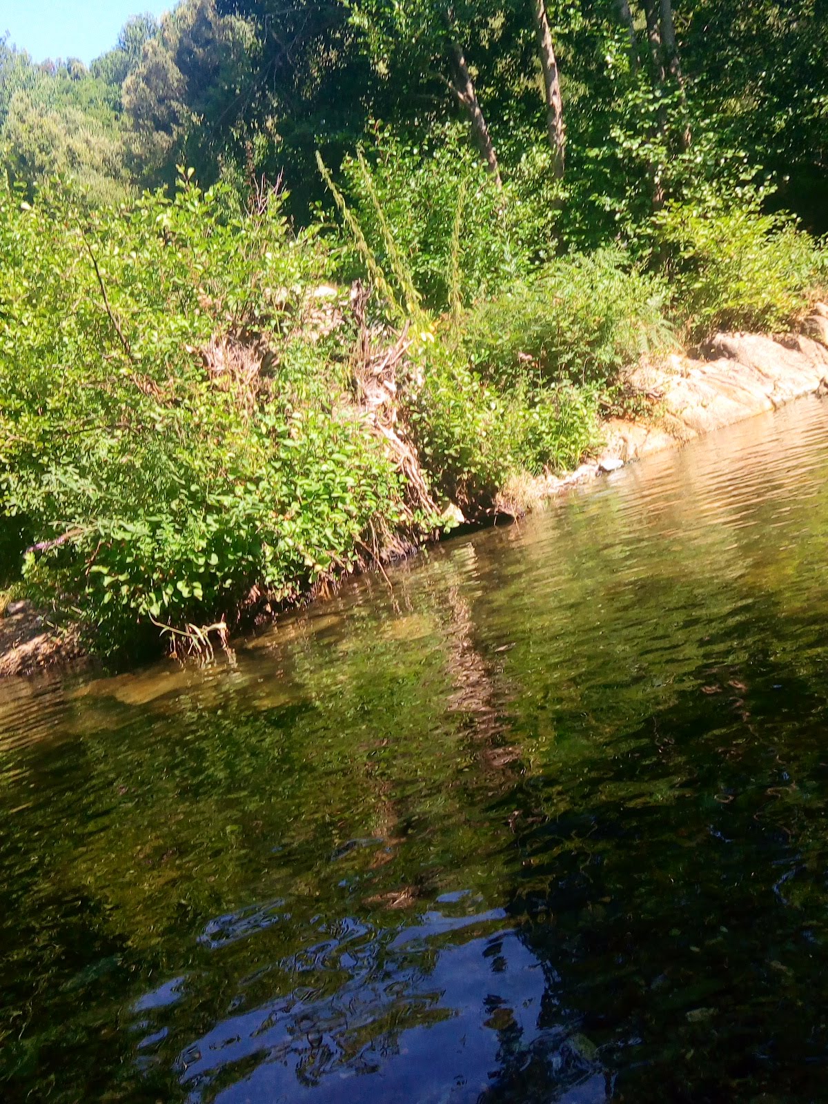Photo n° 7 de l'avis de Frédéric.l fait le 03/08/2018 à 12:50
