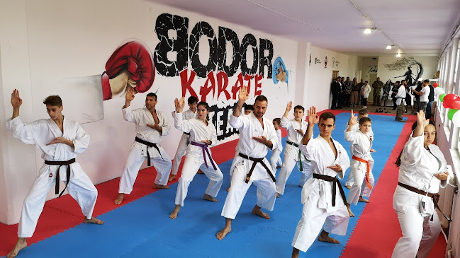 Bodor Karate Team