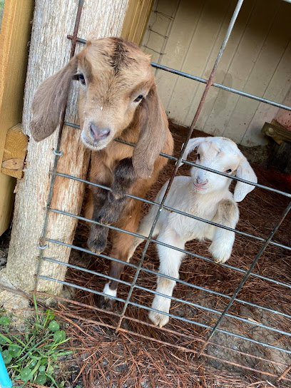 Goat Locker Farms