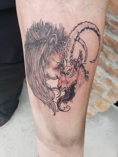 Tattoo Shop «Next Generation Tattoo & Body Piercing», reviews and photos, 1231 E Republic Rd, Springfield, MO 65804, USA