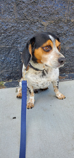 Pet Groomer «That Dog Wash», reviews and photos, 1401 Jackson St, Omaha, NE 68102, USA