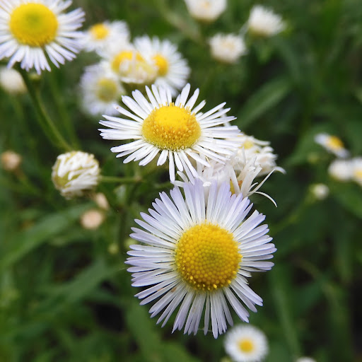 Nature Preserve «Crosby Farm Regional Park», reviews and photos, 2595 Crosby Farm Rd, St Paul, MN 55116, USA